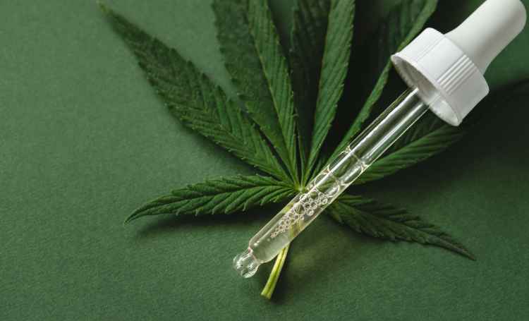 cannabis-1 EXTENSÃO UNIVERSITÁRIA